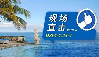 現(xiàn)場直擊丨看生物質(zhì)鍋爐在巴厘島如何強(qiáng)操作，回頭客非它不選